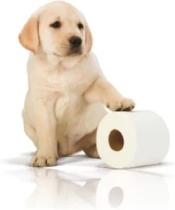 Page Toiletpapier - 32 Rollen - Kussenzacht Wc Papier (3-laags) - Voordeelverpakking 5 Page Toiletpapier - 32 Rollen - Kussenzacht Wc Papier (3-laags) - Voordeelverpakking -bol winkel 1001x1200 2