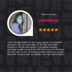 DONGOODS® Toiletblokjes Voor Inbouwreservoirs – WC-blokjes – Toiletblokken In Een Voordeelverpakking – 12 Stuks 5 DONGOODS® Toiletblokjes Voor Inbouwreservoirs – WC-blokjes – Toiletblokken In Een Voordeelverpakking – 12 Stuks -bol winkel 1197x1200 13