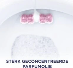 Glorix Aroma Lux Pink Jasmine & Elderflower Toiletblokken - 9 Stuks - Voordeelverpakking 2 Glorix Aroma Lux Pink Jasmine & Elderflower Toiletblokken - 9 Stuks - Voordeelverpakking -bol winkel 1200x1118 7