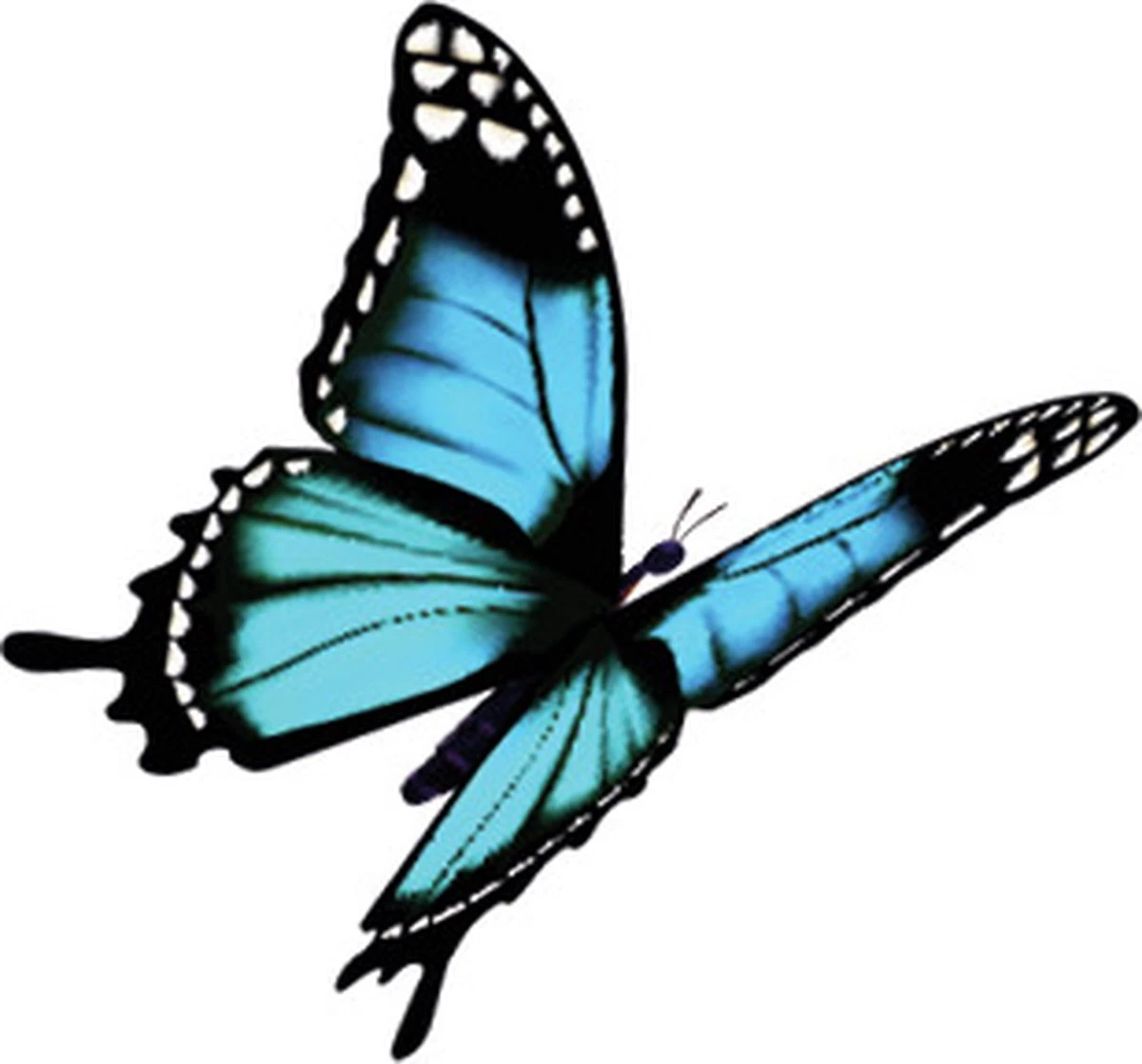 4x Robijn Klein & Krachtig Wasmiddel Black Velvet 1,19 liter 4x Robijn Klein & Krachtig Wasmiddel Black Velvet 1,19 Liter -bol winkel