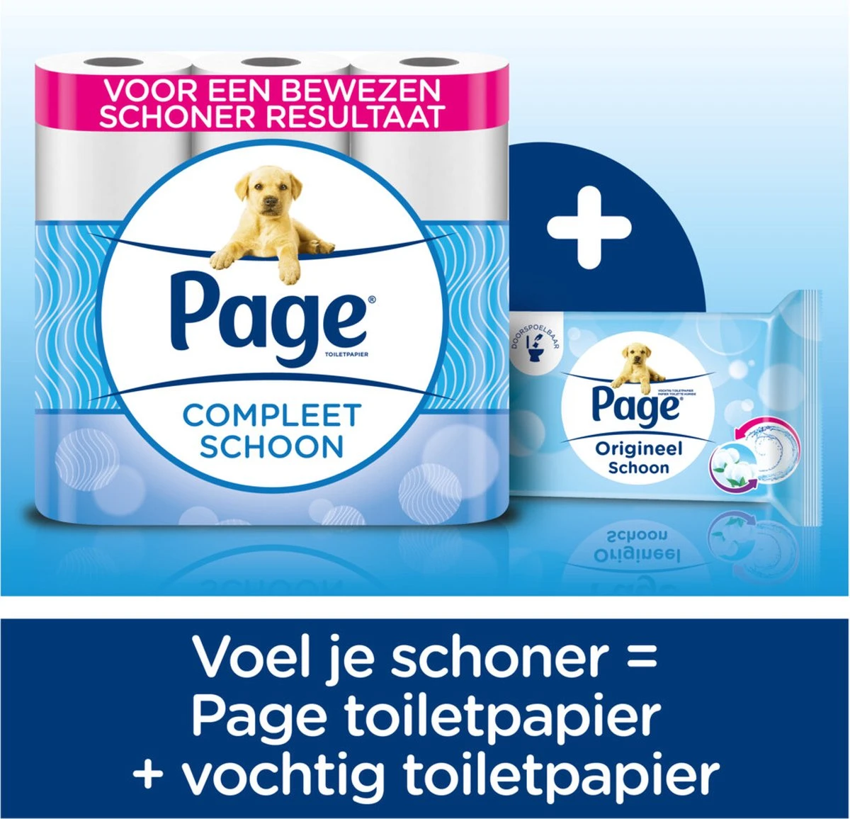 Page toiletpapier - 72 rollen - Compleet schoon wc papier - voordeelverpakking Page Toiletpapier - 72 Rollen - Compleet Schoon Wc Papier - Voordeelverpakking -bol winkel 1200x1156 6