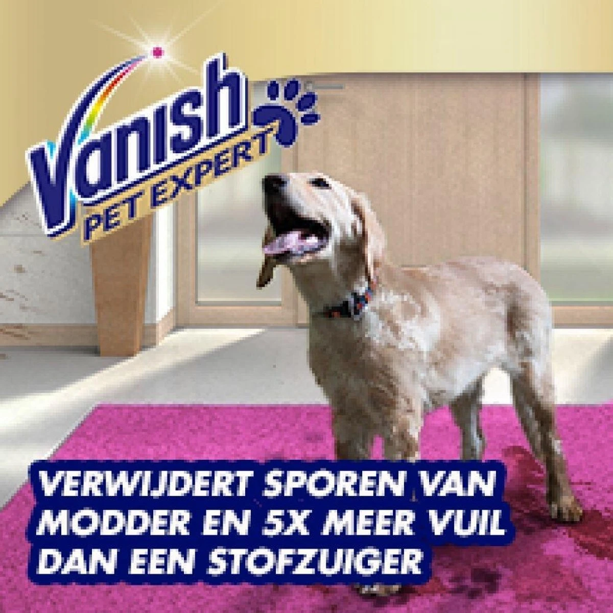 Vanish Pet Expert Schuim 600ml Vanish Pet Expert Schuim 600ml -bol winkel 1200x1200 1019