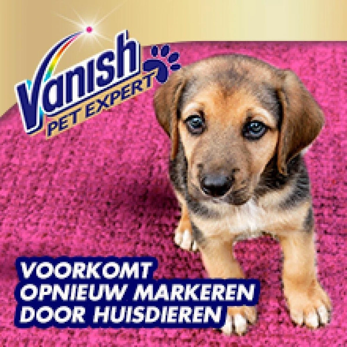 Vanish Pet Expert Schuim 600ml Vanish Pet Expert Schuim 600ml -bol winkel 1200x1200 1020