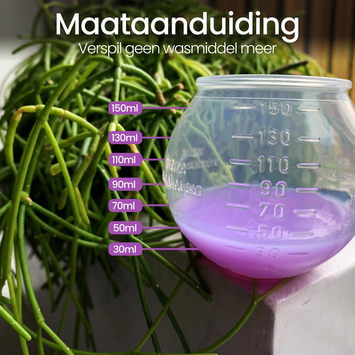 BluGo Doseerbol 2 stuks - Wasbollen - Doseerdop - Drogerballen - Wasballen - Wasmiddel - Herbruikbaar - Maataanduiding - 150ml BluGo Doseerbol 2 Stuks - Wasbollen - Doseerdop - Drogerballen - Wasballen - Wasmiddel - Herbruikbaar - Maataanduiding - 150ml -bol winkel 1200x1200 1156