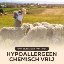 Drogerballen - Droogballen - Wasdrogerballen - Dryerballs - 6 Stuks - XL Formaat - Wol - Set 4 Drogerballen - Droogballen - Wasdrogerballen - Dryerballs - 6 Stuks - XL Formaat - Wol - Set -bol winkel 1200x1200 1161