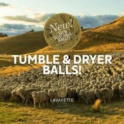 Lavayette XL Drogerballen Met 25ml Wasparfum - WasdrogerBallen – Droogballen – Wasbol – 100% Nieuw-Zeelands Schapenwol – Milieu- En Diervriendelijk – 6 Stuks -bol winkel 1200x1200 1213