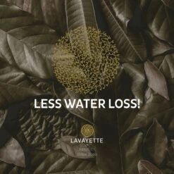 Lavayette XL Drogerballen Met 25ml Wasparfum - WasdrogerBallen – Droogballen – Wasbol – 100% Nieuw-Zeelands Schapenwol – Milieu- En Diervriendelijk – 6 Stuks -bol winkel 1200x1200 1218