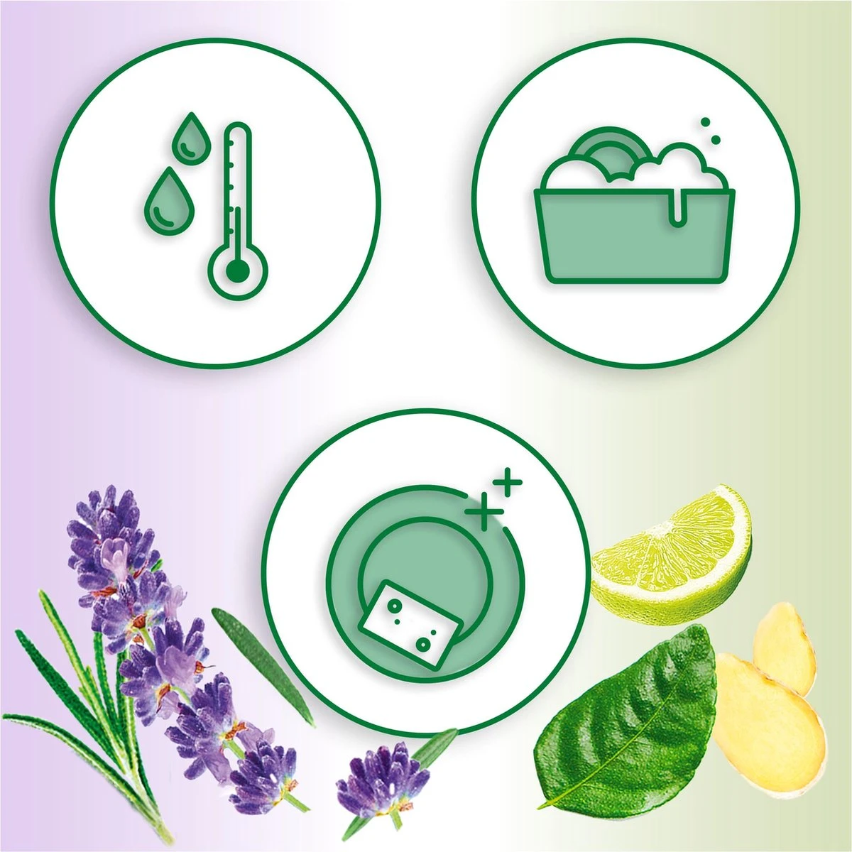 Dreft Naturals Lavender & Rosemary Afwasmiddel - Voordeelverpakking 10x450ml Dreft Naturals Lavender & Rosemary Afwasmiddel - Voordeelverpakking 10x450ml -bol winkel 1200x1200 1293