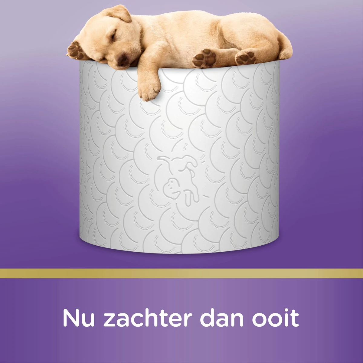 Page toiletpapier - 36 rollen - Kussenzacht wc papier (3-laags) - voordeelverpakking Page Toiletpapier - 36 Rollen - Kussenzacht Wc Papier (3-laags) - Voordeelverpakking -bol winkel 1200x1200 1844