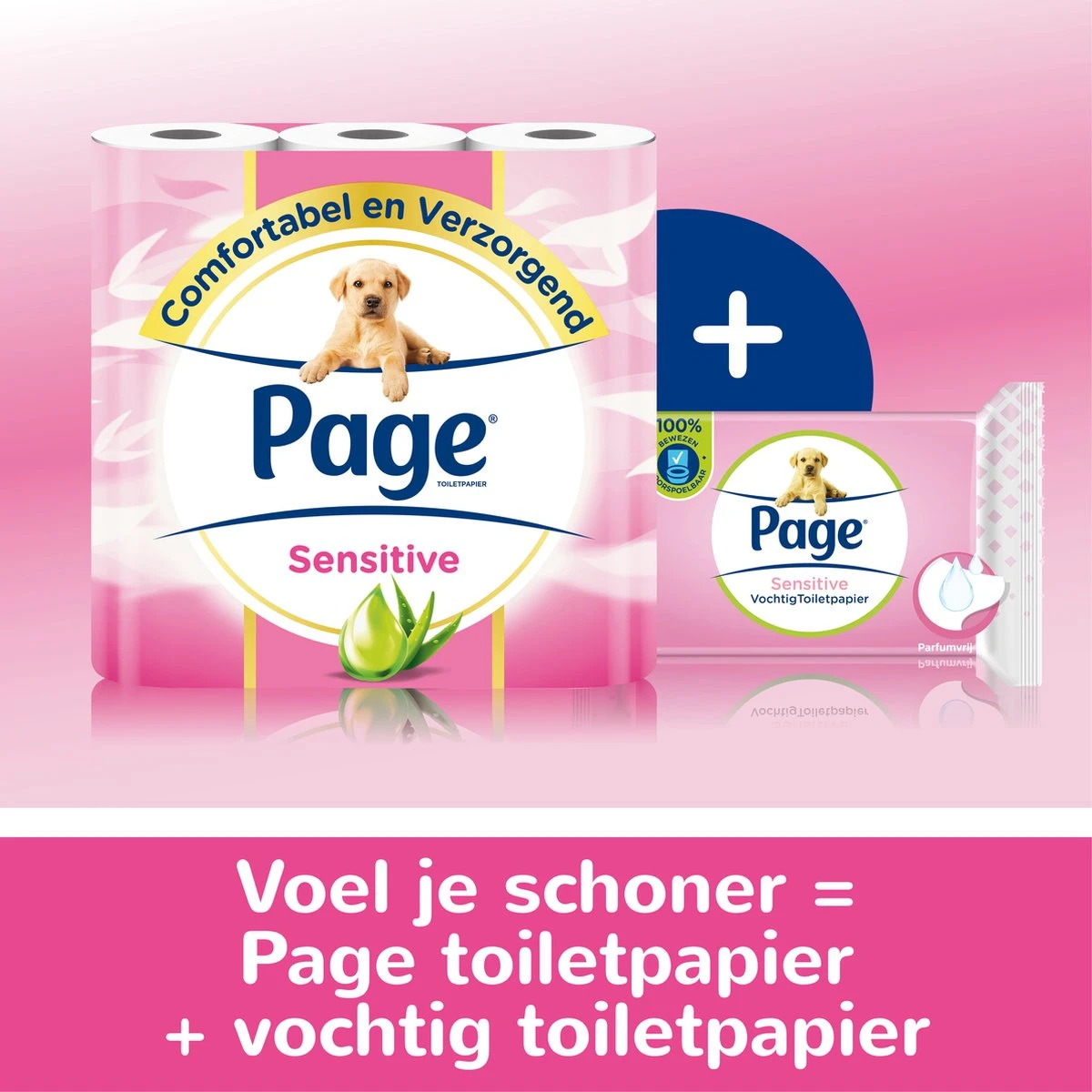 Page vochtig toiletpapier - 12 x 38 stuks - Sensitive vochtig wc papier - voordeelverpakking Page Vochtig Toiletpapier - 12 X 38 Stuks - Sensitive Vochtig Wc Papier - Voordeelverpakking -bol winkel 1200x1200 1875