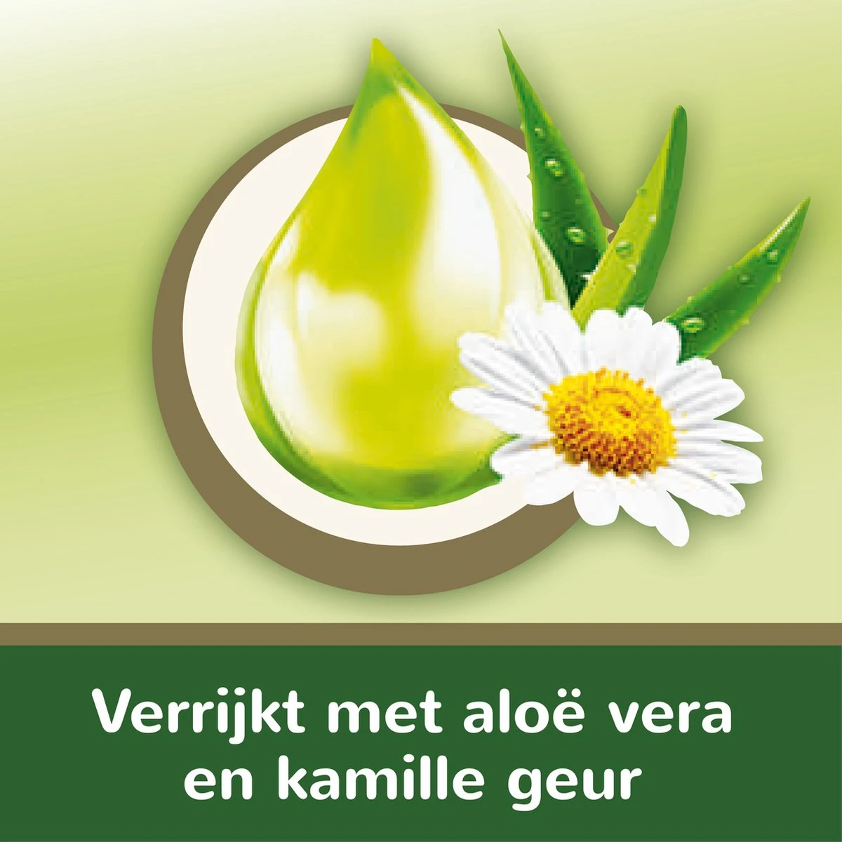 Page vochtig toiletpapier - 6 x 74 stuks - Aloë Vera maxi vochtig wc papier - voordeelverpakking Page Vochtig Toiletpapier - 6 X 74 Stuks - Aloë Vera Maxi Vochtig Wc Papier - Voordeelverpakking -bol winkel 1200x1200 1882