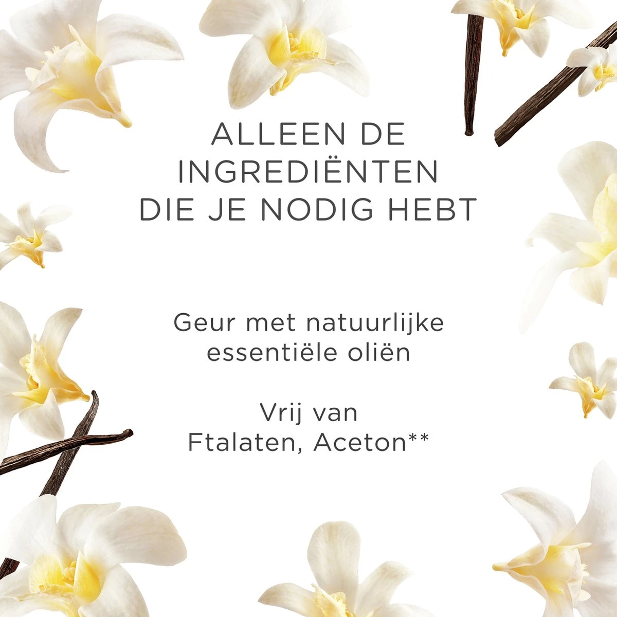 Air Wick Elektrische Luchtverfrisser - Vanille & Orchidee - 3 Navullingen Air Wick Elektrische Luchtverfrisser - Vanille & Orchidee - 3 Navullingen -bol winkel 1200x1200 1926