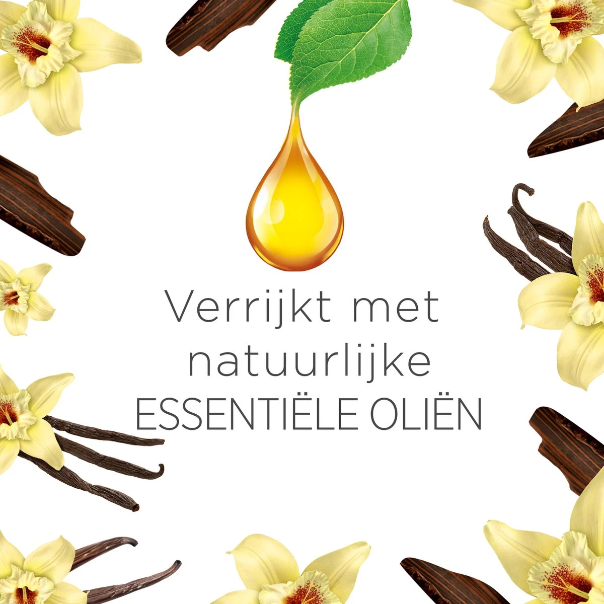 Air Wick Freshmatic Automatische Spray Luchtverfrisser - Ebbenhout & Vanille - 1 Apparaat + 2 Navullingen Air Wick Freshmatic Automatische Spray Luchtverfrisser - Ebbenhout & Vanille - 1 Apparaat + 2 Navullingen -bol winkel 1200x1200 2017