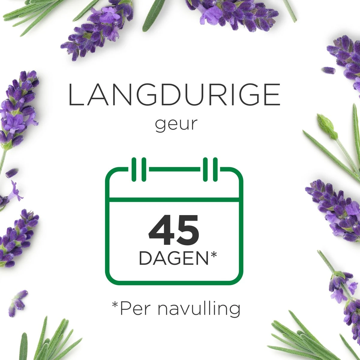 Air Wick Essential Mist Automatische Luchtverfrisser - Ontspannende Lavendel - 3 Navullingen Air Wick Essential Mist Automatische Luchtverfrisser - Ontspannende Lavendel - 3 Navullingen -bol winkel 1200x1200 2023
