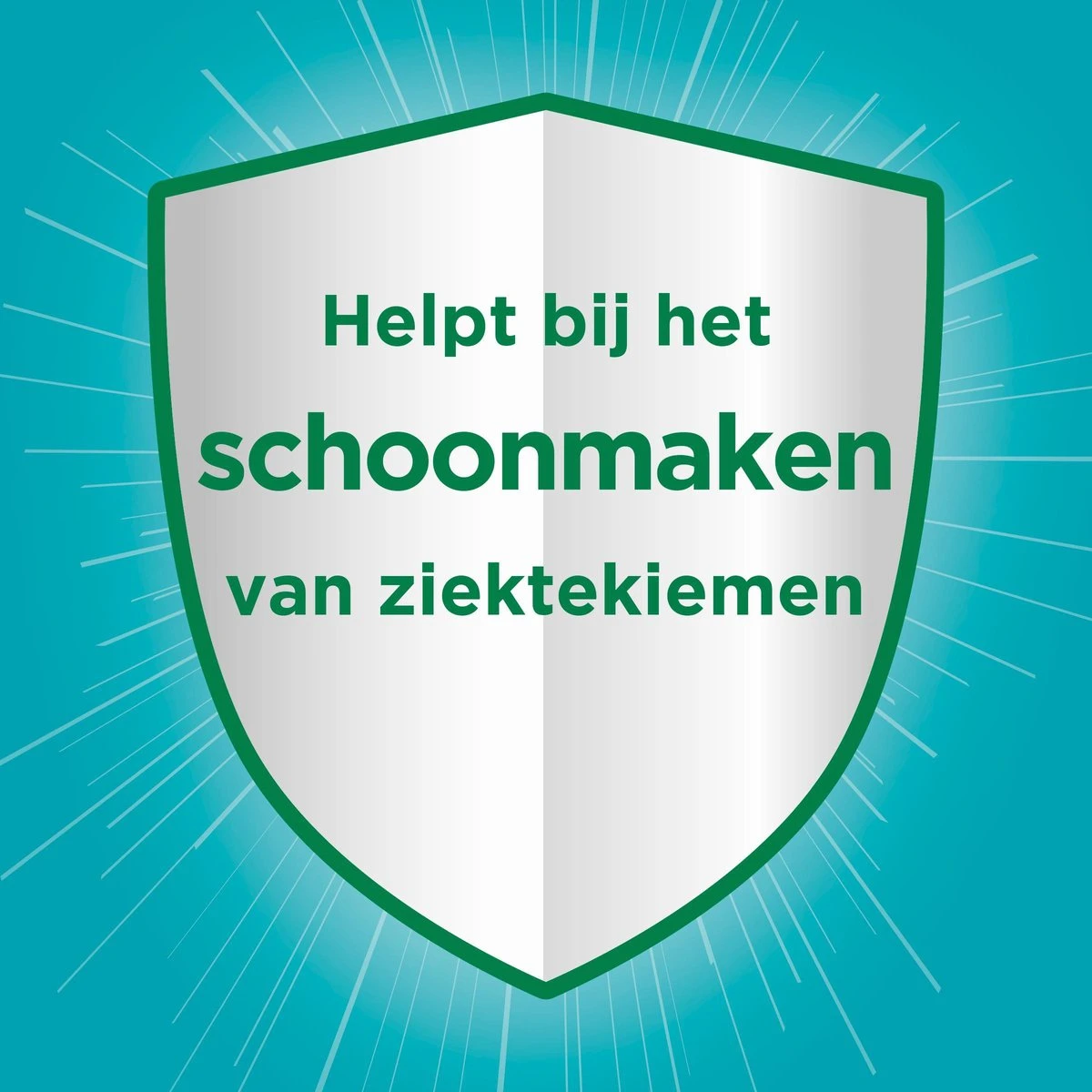 Ajax Allesreiniger Eucalyptus 2 x 5L - Voordeelverpakking Ajax® Ajax Allesreiniger Eucalyptus 2 X 5L - Voordeelverpakking -bol winkel 1200x1200 2053