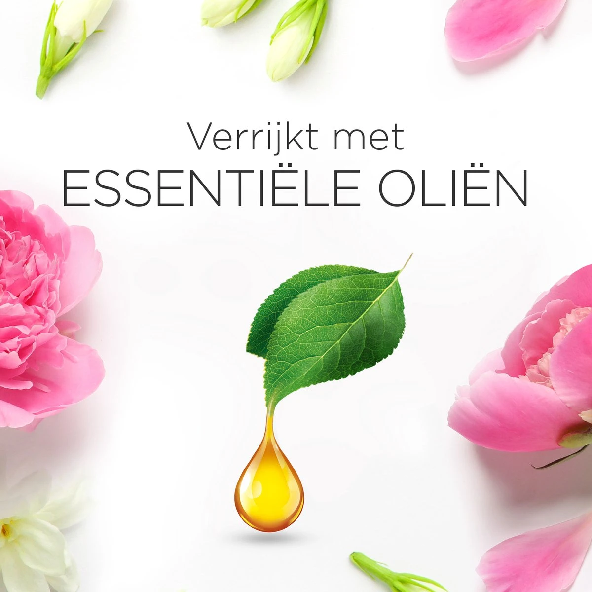 Air Wick Essential Mist Automatische Luchtverfrisser - Verfrissende Pioen en Jasmijn - 3 Navullingen Air Wick Essential Mist Automatische Luchtverfrisser - Verfrissende Pioen En Jasmijn - 3 Navullingen -bol winkel 1200x1200 2388