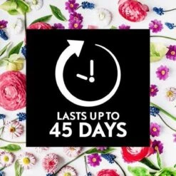 Air Wick Essential Mist Automatische Geurverspreider Luchtverfrisser - Innerlijke Rust - Navulling -bol winkel 1200x1200 2391