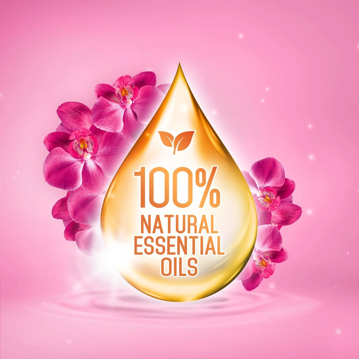 Frisse Reus Orchidee Macadamia Gel Wasmiddel - Vloeibaar - 80 wasbeurten - Voordeelverpakking Frisse Reus Orchidee Macadamia Gel Wasmiddel - Vloeibaar - 80 Wasbeurten - Voordeelverpakking -bol winkel 1200x1200 468