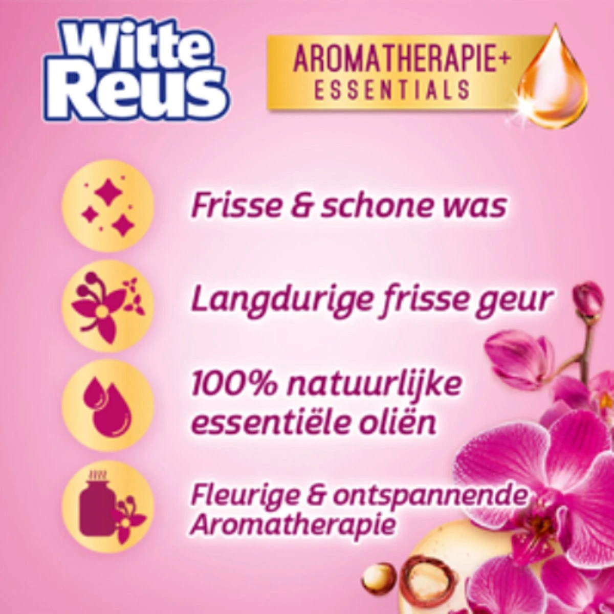 Frisse Reus Orchidee Macadamia Gel Wasmiddel - Vloeibaar - 80 wasbeurten - Voordeelverpakking Frisse Reus Orchidee Macadamia Gel Wasmiddel - Vloeibaar - 80 Wasbeurten - Voordeelverpakking -bol winkel 1200x1200 470