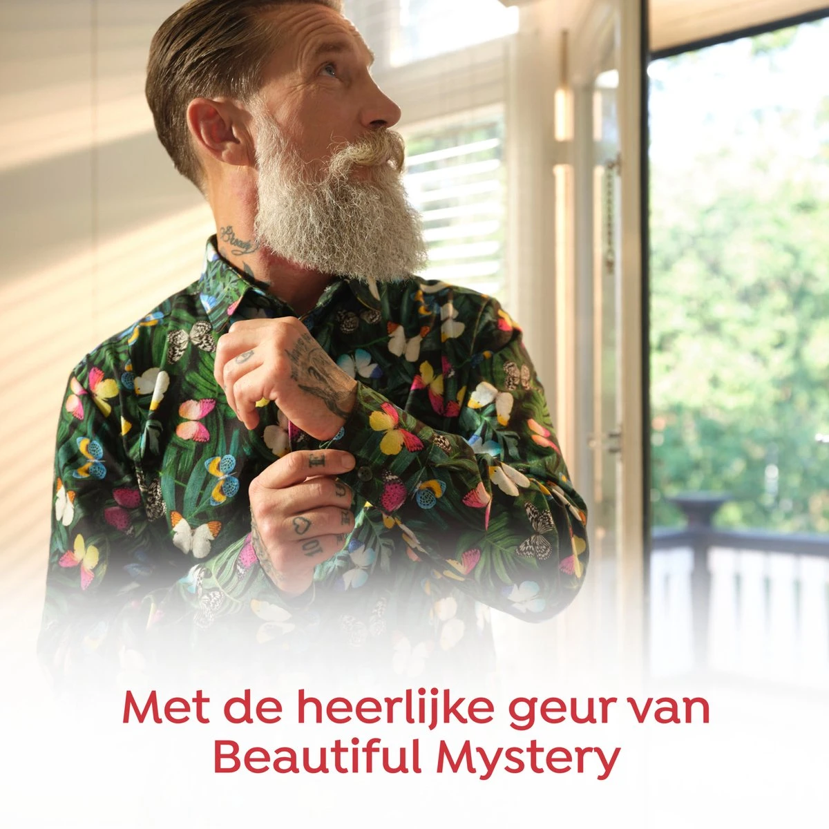 Robijn Collections Beautiful Mystery Wasverzachter - 8 x 33 wasbeurten - Voordeelverpakking Robijn Collections Beautiful Mystery Wasverzachter - 8 X 33 Wasbeurten - Voordeelverpakking -bol winkel 1200x1200 856