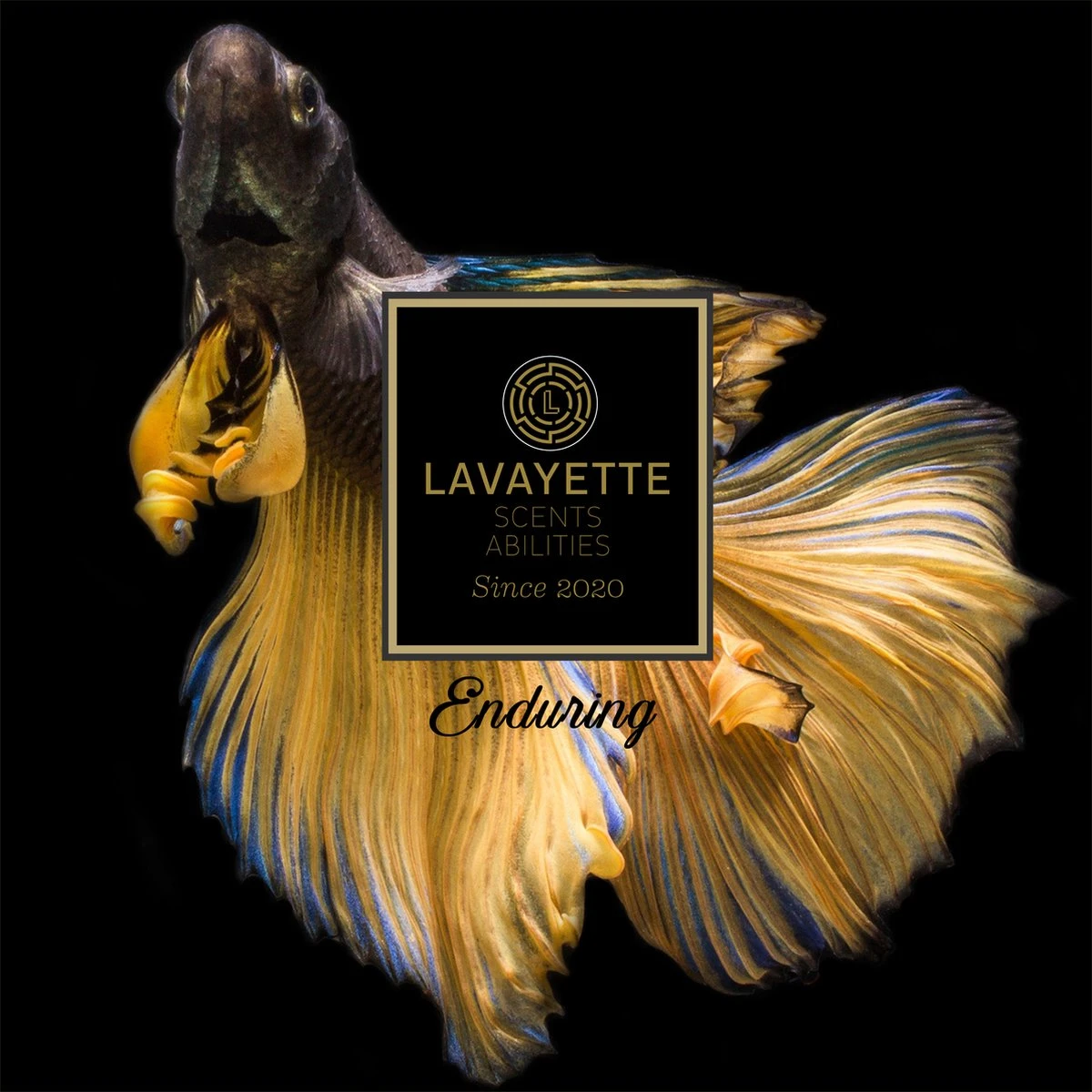 Lavayette Premium Wasparfum - Proefpakket 9x25ml - Geurbooster Lavayette Premium Wasparfum - Proefpakket 9x25ml - Geurbooster -bol winkel 1200x1200 922