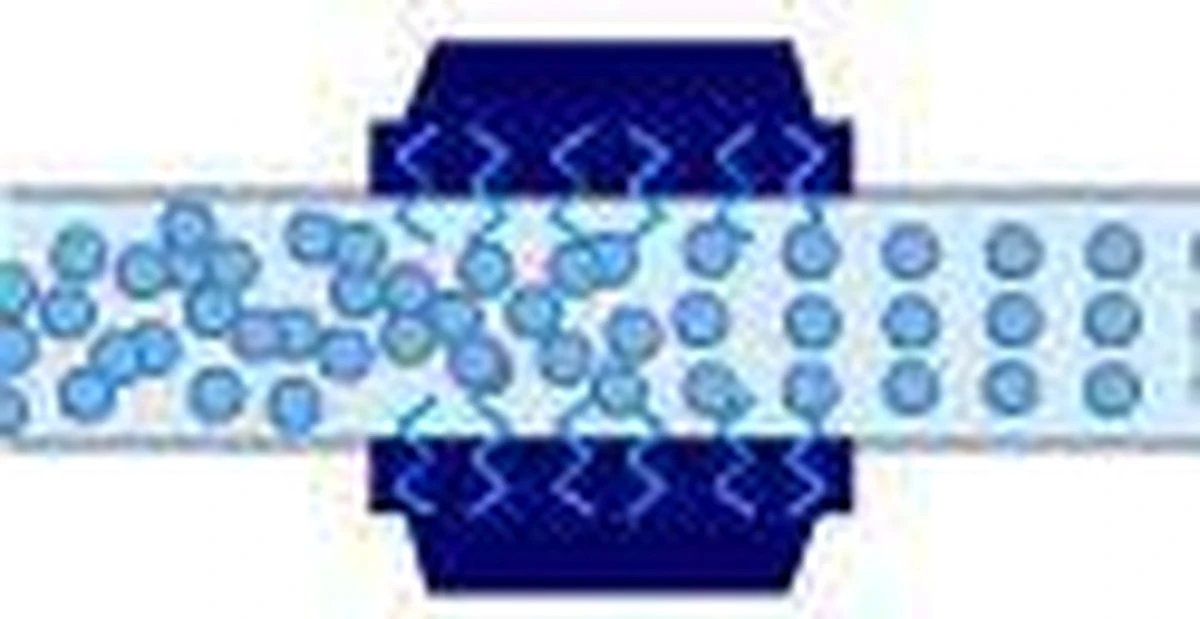 Alpine® hét waterontharder alternatief All-in-one XL Antikalk Magneet voor koper en kunststof leidingen 20.000 Gauss - Energiebesparing - Energie besparen - Gas besparen Alpine® Hét Waterontharder Alternatief All-in-one XL Antikalk Magneet Voor Koper En Kunststof Leidingen 20.000 Gauss - Energiebesparing - Energie Besparen - Gas Besparen -bol winkel