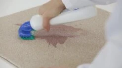 Dr. Beckmann Tapijtvlekkenborstel - Tapijtreiniging - Tapijt Vlekverwijderaar Met Borstel - Schoon Tapijt - Dierenvlekkenverwijderaar 3 Dr. Beckmann Tapijtvlekkenborstel - Tapijtreiniging - Tapijt Vlekverwijderaar Met Borstel - Schoon Tapijt - Dierenvlekkenverwijderaar -bol winkel 1200x674 1