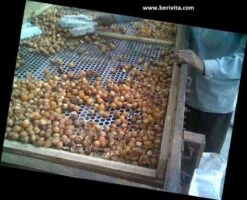 Wasnoten 3kg Met 4 Waszakjes - Zeepnoten - Natuurlijk Wassen - 4x750gr 4 Wasnoten 3kg Met 4 Waszakjes - Zeepnoten - Natuurlijk Wassen - 4x750gr -bol winkel 1200x973 3