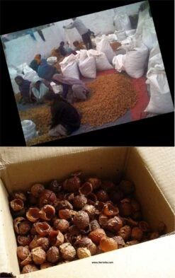 Wasnoten 750gr Met Waszakje - Zeepnoten - Natuurlijk Wassen 2 Wasnoten 750gr Met Waszakje - Zeepnoten - Natuurlijk Wassen -bol winkel 755x1200